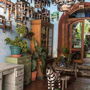 San Sebastian Couette-café